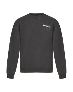 Pierre boxy crewneck