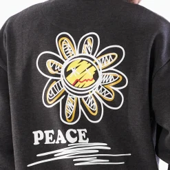 Pierre boxy crewneck