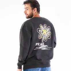 Pierre boxy crewneck