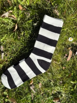 Purpolo stripe sock