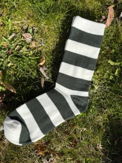 Purpolo stripe sock