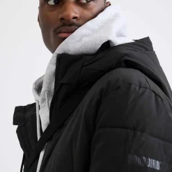 Wbjoseph tech long